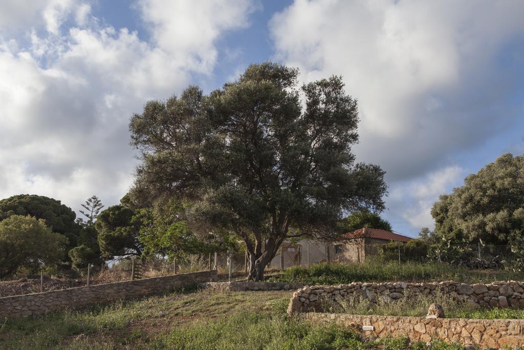 Dialiskari Villas Marathopoli Exterior foto